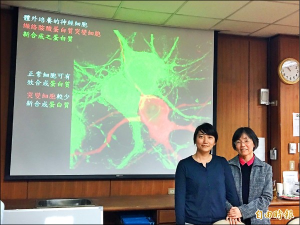 中研院分子生物所研究員薛一蘋（右）和國際研究生學程、國防醫學院博士生石育慈（左）發現突變的神經細胞新合成蛋白質較少，找到神經病變疾病治療的新方向。（記者吳欣恬攝）