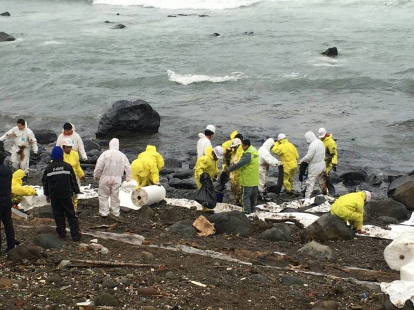 環保局派出115名人力進行岸際油污清除。（新北市環保局提供）