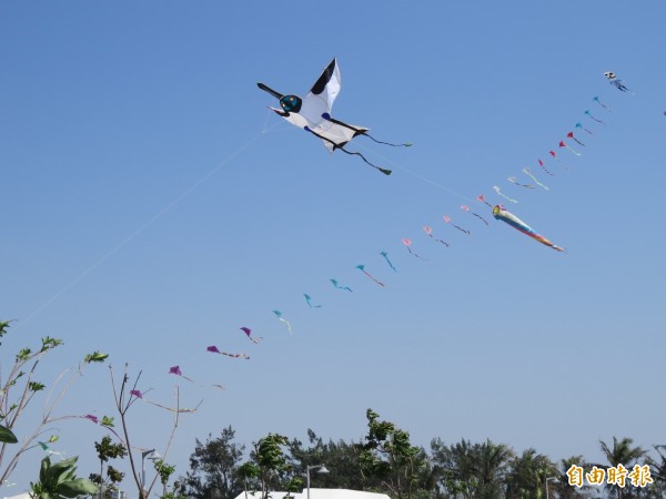 台江國家公園舉辦親子放風箏歡送黑琵北返。（記者蔡文居攝）