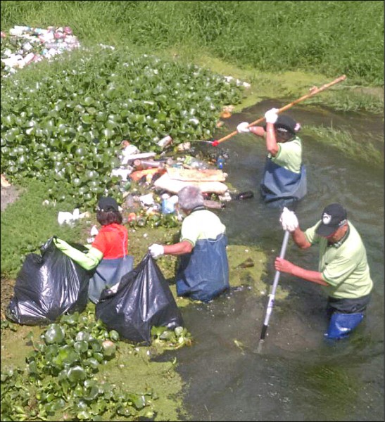 埔里鎮河川生態保育協會發動志工，忍著髒水惡臭，清除杷城排洪道垃圾。（埔里鎮生態保育協會提供）