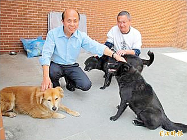 深澳國小校犬三劍客「小毛、小皮、小三」，是深澳國小師生的記憶，如今少了小皮，這三劍客齊聚一室，成為過往。（記者俞肇福攝）