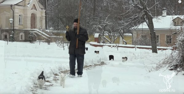 俄羅斯奥普蒂纳修道院的神職人員每日在進行祈福儀式時，都會有一群「喵星人」跟隨，堪稱是「最虔誠的貓」。（圖擷取自YouTube）