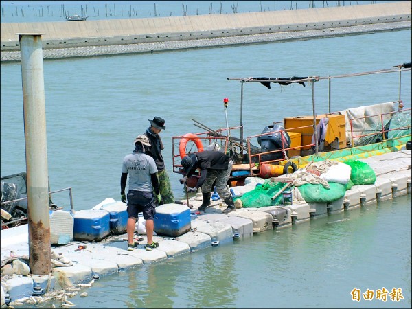 麥寮許厝寮簡易碼頭正進行浮桶修復。
（記者鄭旭凱攝）