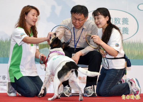 台北市長柯文哲（中）今天（11日）出席流浪毛小孩摘星計畫宣告記者會，為有潛質訓練成為合格狗醫生的流浪犬招募寄養家庭，柯文哲在會中和合格的狗醫生進行遊戲互動。（記者廖振輝攝）