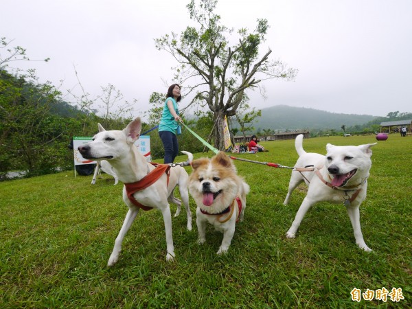 養寵物前飼主先上課，自治條例已過縣務會議。（記者簡惠茹攝）