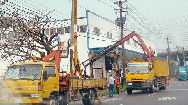 縣府鼓吹植樹、地方砍樹民批矛盾。（擷取自苗栗縣1999服務讚）