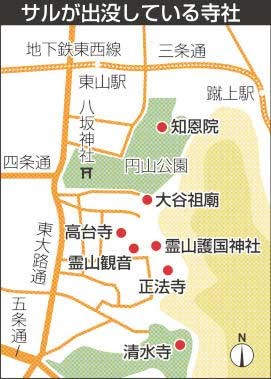 京都潑猴進攻神社掀翻屋瓦還亂丟 國際 自由時報電子報