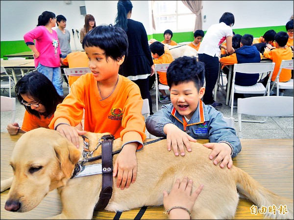 導盲犬入校園與視障生開心互動，呂岳駿（右）摸著導盲犬笑開懷。
（記者張軒哲攝）