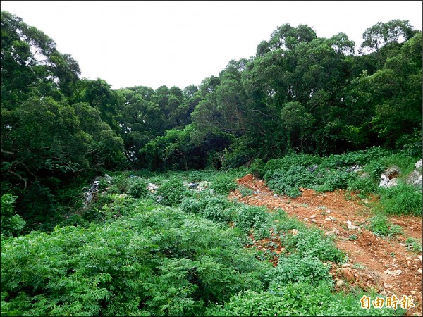 新竹縣湖口鄉公所打算在軍方移撥的閒置軍用地上蓋公園，最近整地赫見遭倒大量家庭、事業和營建廢棄物，分散範圍達十公頃！（記者廖雪茹攝）