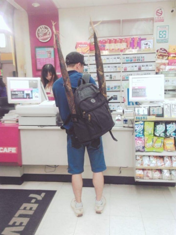 有網友在臉書貼出一張照片，在便利商店中一位客人背著背包，但背包兩側竟插著2根半個成人高的大竹筍。（圖擷自爆料公社臉書）