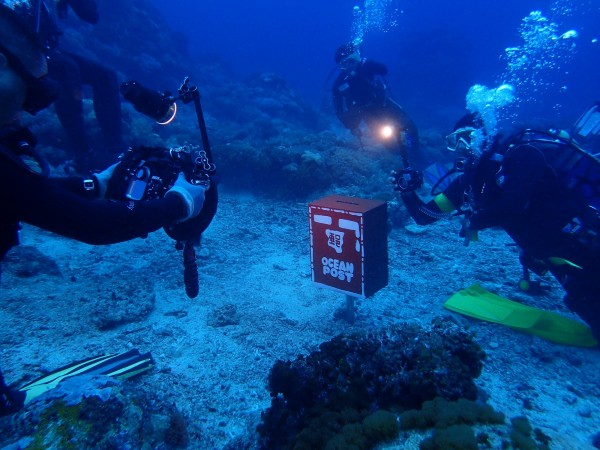 綠島潛水區水下12 米設置海底郵筒。（圖由陳盈明提供）