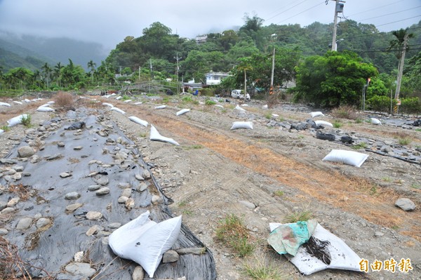 西瓜園緊鄰部落民宅，一包包雞糞肥堆在田裡準備施用。（記者花孟璟攝）