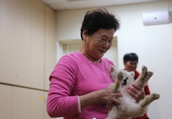 新北市動保處訓練流浪狗成為醫療陪伴犬，進駐老人日間照顧中心等機構，陪伴長者度過孤單，抒發情緒。（動保處提供）