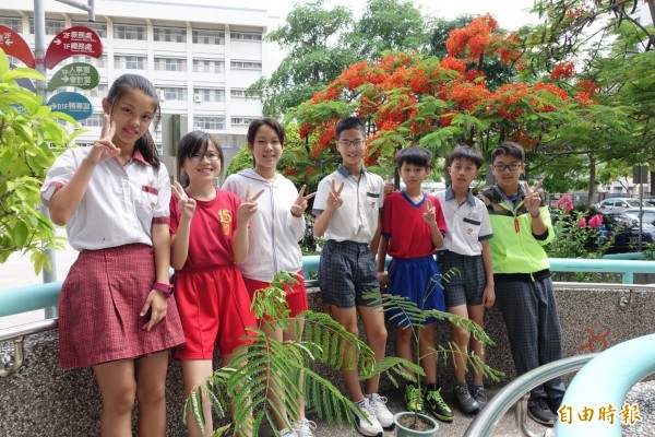 安平、崇學、忠義國小將在畢業季，在校園裡種下鳳凰花幼苗，象徵另一個起點，也植下聯結記憶。（記者洪瑞琴攝）