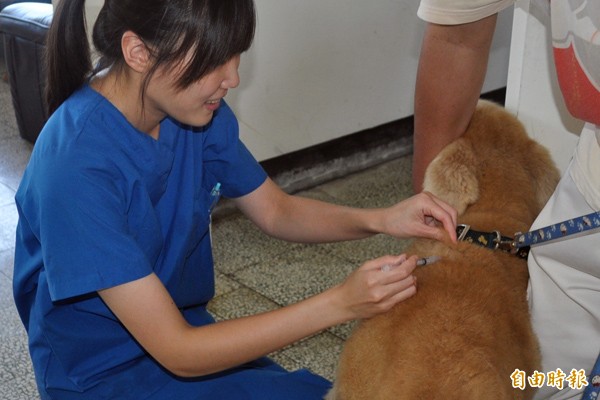 桃園市動物保護園區園長自殺，凸顯動物收容制度的問題。（資料照，記者李容萍攝）