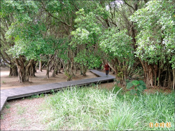 「巴克禮紀念公園擴建工程」運用生態設計原則，榮獲今年全球卓越建設獎環境類首獎。（記者洪瑞琴攝）