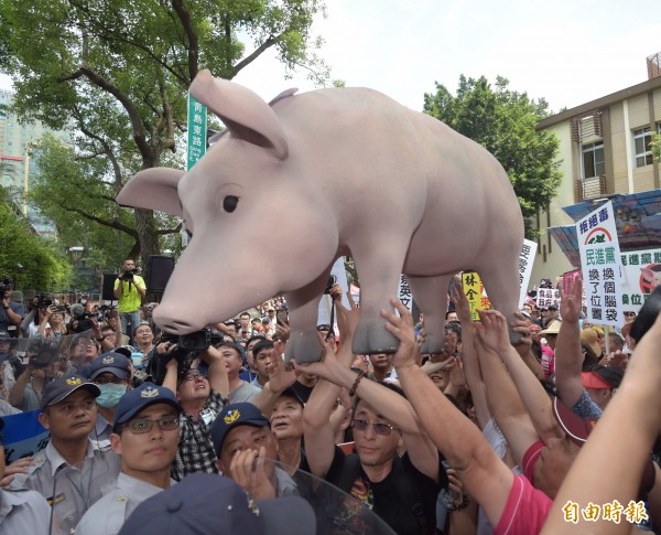 群眾今在立法院外抗議美豬議題，運送一隻道具豬進到場內。（記者黃耀徵攝）