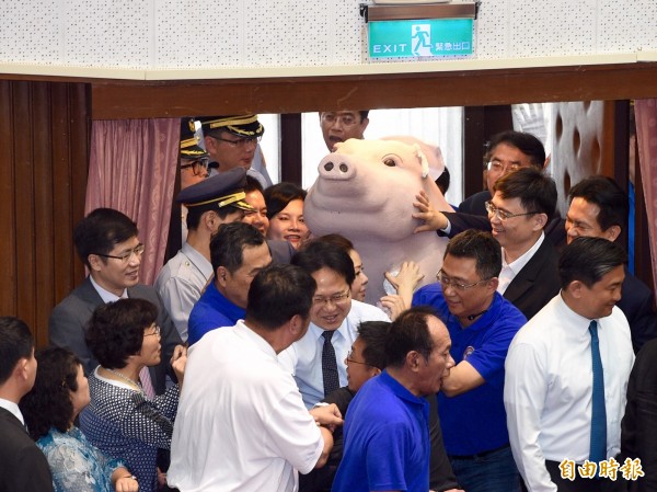 國民黨要把道具豬帶進議場，被民進黨立委阻止，藍委楊鎮浯這時卻說「現在打駐衛警也會判無罪啦」。（記者羅沛德攝）