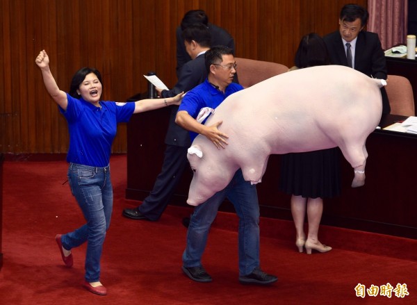 國民黨將一隻「道具豬」翻牆進入立法院議場。（記者羅沛德攝）