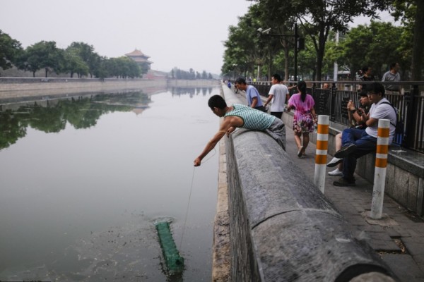 有中國遊客在護城河內「撈魚」，整個過程都被拍了下來。（圖擷取自新華網）