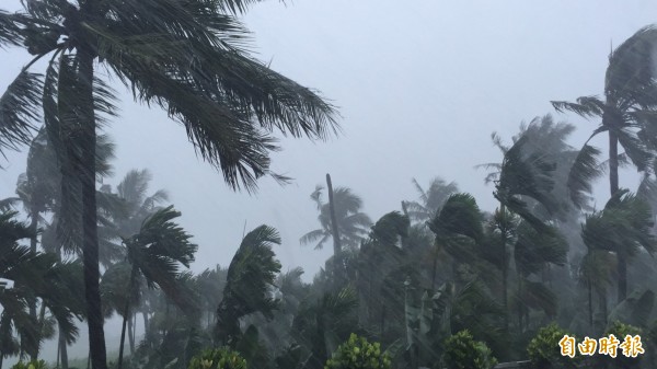 屏東豪雨，萬巒鄉一帶鄉鎮11日中午宛如颱風來襲。（記者羅欣貞攝）