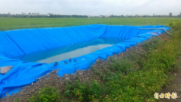 學童玩水的水池。（記者陳彥廷攝）