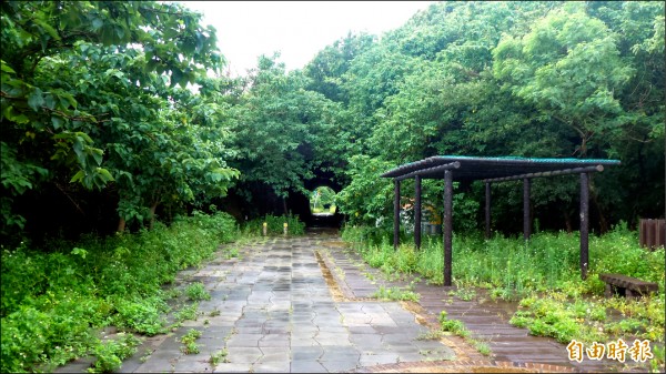 歷史建築「台鐵苗栗舊海線過港隧道」雜草叢生，欠缺維護，引發民眾批評。（記者蔡政珉攝）