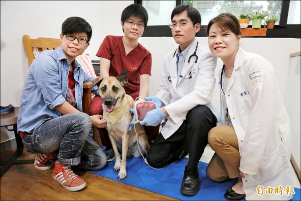 屏科大助理教授蔡宜倫（右一），把美國、泰國的動物血液銀行經驗引入台灣，打造該動物輸血醫學中心。（記者邱芷柔攝）