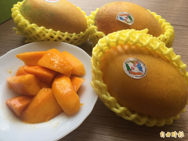 夏雪芒果濃又甜台東異軍突起 生活 自由時報電子報