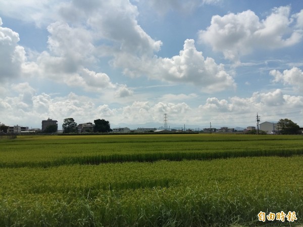 南市東山區聖賢社區農村再生計畫草案出爐，規劃以水稻為產業主題，發展「魅力聖賢」。（記者王涵平攝）