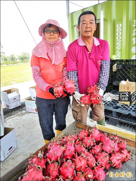 柯炳西夫婦為侍奉雙親返鄉務農。（記者廖淑玲攝）