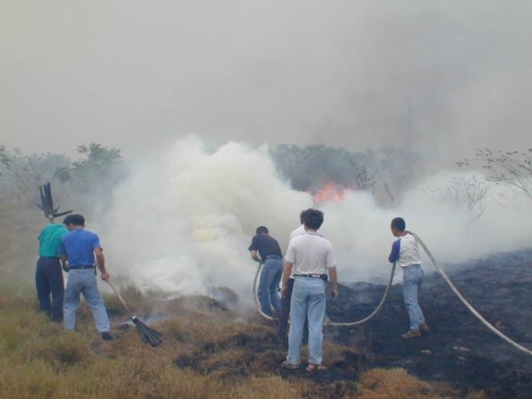 火燒稻米與雜草，引發空污又影響行車安全，消防人員更是疲於奔命。（記者陳賢義翻攝）