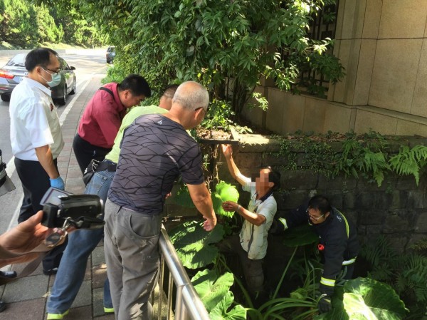 郭姓園藝工人修剪樹木時跌落大水溝，共計約3層樓高。（記者陳薏云翻攝）
