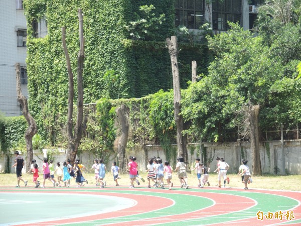 興南國小6棵木麻黃移植不當枯死校園中。（記者翁聿煌攝）