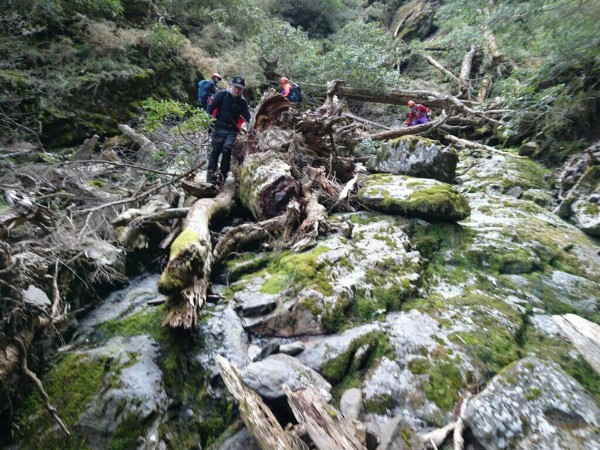 台中市首訂登山自治條例，規定要有專業領隊帶領，並辦理登山綜合保險。（記者黃鐘山翻攝）