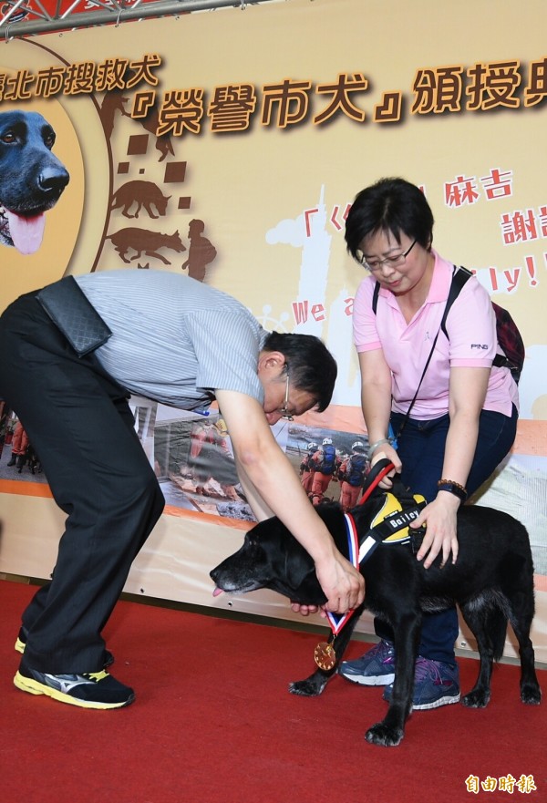 台北市长柯文哲今天（4日）颁发「荣誉市犬奖章」给四只退役搜救犬，表扬它们长年对于救灾的贡献。（记者张嘉明摄）