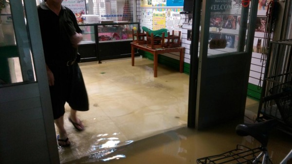 湖口鄉民生街四一二巷一帶上月豪大雨曾嚴重積水，且淹進住家內；對此，鄉公所建議水利會加裝水閘門，導引洪水流向野溪。（湖口鄉公所提供）