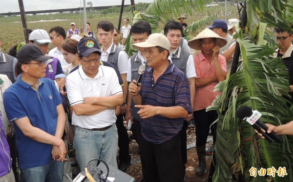 行政院長林全（左一）在屏東縣長潘孟安（左二）陪同下，視察因颱風倒伏的木瓜園及香蕉園。（記者李立法攝）