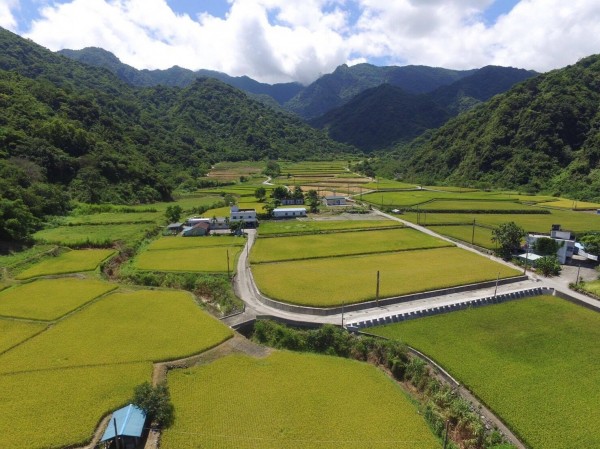 花蓮玉里鎮德武部落的里山地景，是由原住民聚落、坡地水稻梯田、灌排溝渠、次生林、天然溪流和天然林所複合組成的農業生態系統。（照片由花蓮農改場提供）