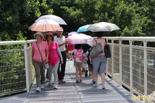 八卦山天空步道人氣夯，白天，民眾不畏酷熱的高溫，撐傘漫步步道，體驗凌空穿梭樹林的愜意。（記者張聰秋攝）