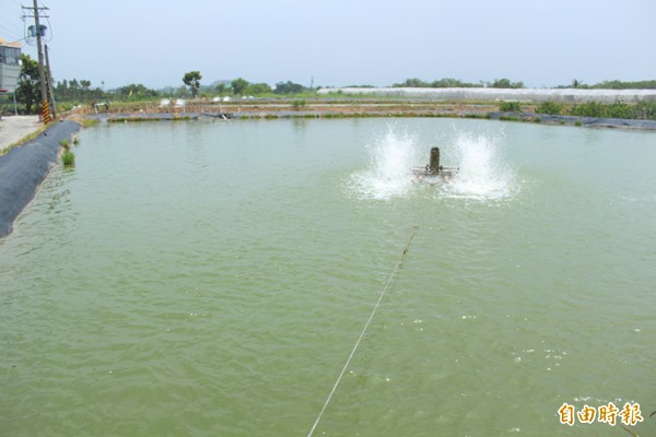 高市入夏天氣炎熱，造成養殖魚池溫度過高，池底易生沼氣。（本報資料照）