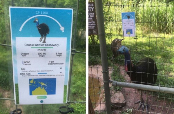 這名動物管理員發現有部分遊客到動物園中仍不斷低頭遊玩《精靈寶可夢GO》，卻對眼前真實存在的動物們視而不見，她祭出奇招重拾遊客目光。（圖擷取自Tumblr）