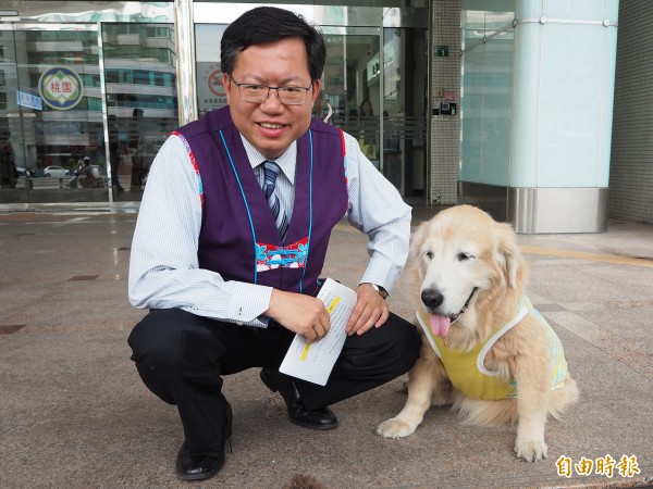 桃園市政府邀請黃金獵犬Cherry擔任動保大使，原本預計9月展開校園巡迴，但因Cherry病逝，活動將重新討論。（記者陳昀攝）