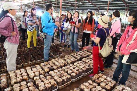 台中市食農教育體驗，第二波活動將於明日起開始報名。（圖取自台中市政府環保局）