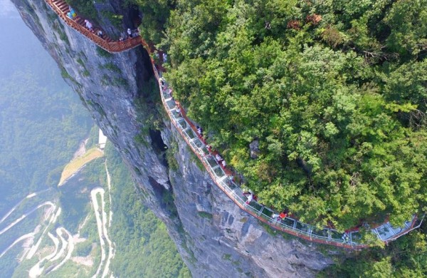 遊客們一走上全長100公尺、寬1.6公尺的玻璃步道上，絕大多數都腿軟扶著旁邊的山壁才能往前邁步。（圖擷自《新華網》）