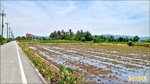 吉安鄉永興村一帶耕地畸零不整，公所依農地重劃條例擬辦理重劃，但地主意願不高。（記者王錦義攝）