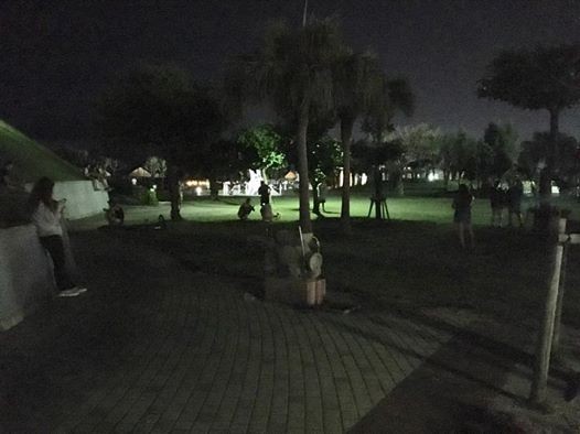張自強在沖繩發現，入夜後的公園，仍有許多人神遊抓怪！（八里療養院職能治療科主任張自強提供）