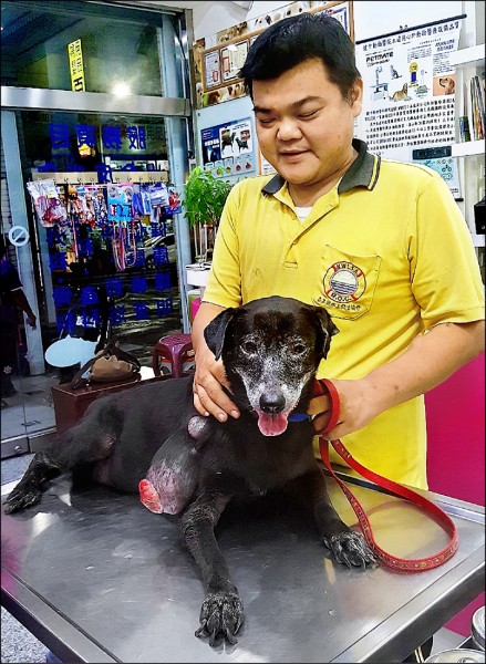 高市男子鐘瑩澤單眼失明，與愛犬「東尼」相依為命十二年。
（台灣動物緊急救援小組提供）