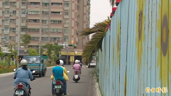 南市東區生產路上中央圍籬垂掛椰子樹葉，影響機車行車安全。（記者王俊忠攝）