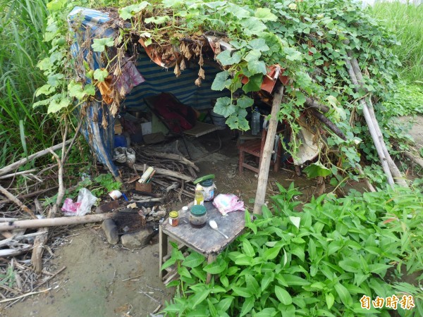 林姓街友的小屋，屋上藤蔓是南瓜，屋前種有空心菜、地瓜葉。（記者王冠仁攝）